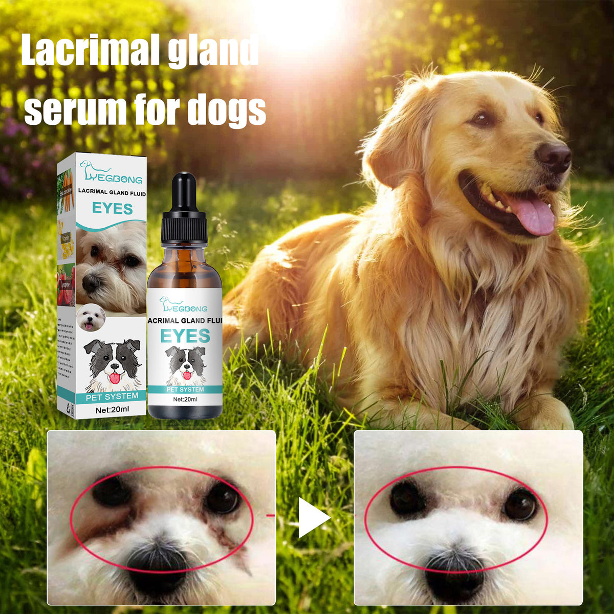 Yegbong Canine and Feline Lacrimal Gland Essence Liquid - Suitable for dogs and cats. Helps reduce infections and inhibit bacterial growth.