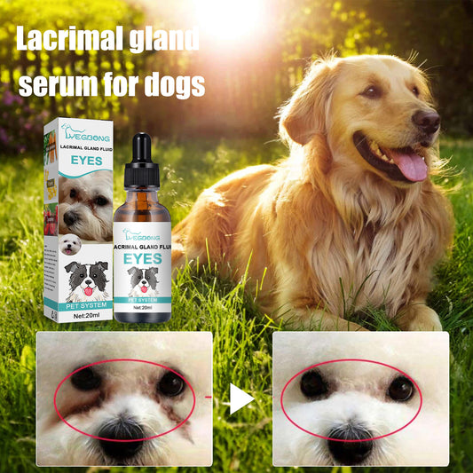Yegbong Canine and Feline Lacrimal Gland Essence Liquid - Suitable for dogs and cats. Helps reduce infections and inhibit bacterial growth.