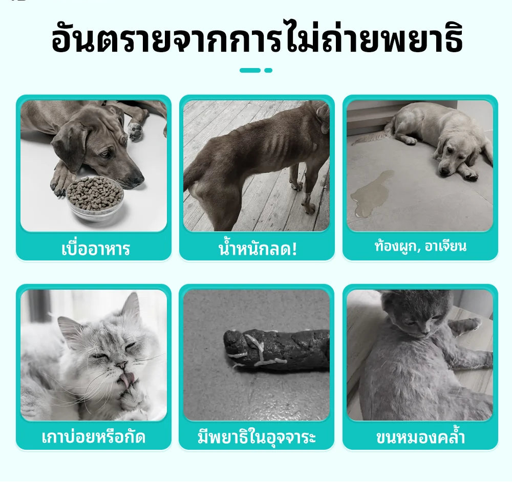 ขนมขจัดพยาธิภายในสำหรับสัตว์เลี้ยง Dopeari สูตรปลอดภัย ขนาดใหญ่พิเศษ 300 กรัม (รุ่นปรับปรุงใหม่)