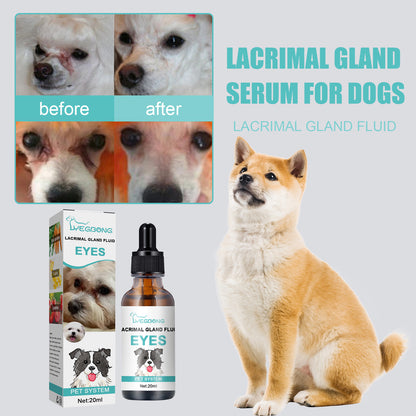Yegbong Canine and Feline Lacrimal Gland Essence Liquid - Suitable for dogs and cats. Helps reduce infections and inhibit bacterial growth.