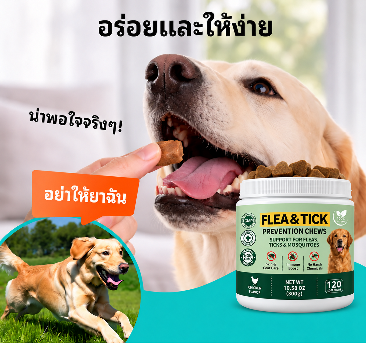 ขนมขจัดพยาธิภายในสำหรับสัตว์เลี้ยง Dopeari สูตรปลอดภัย ขนาดใหญ่พิเศษ 300 กรัม (รุ่นปรับปรุงใหม่)