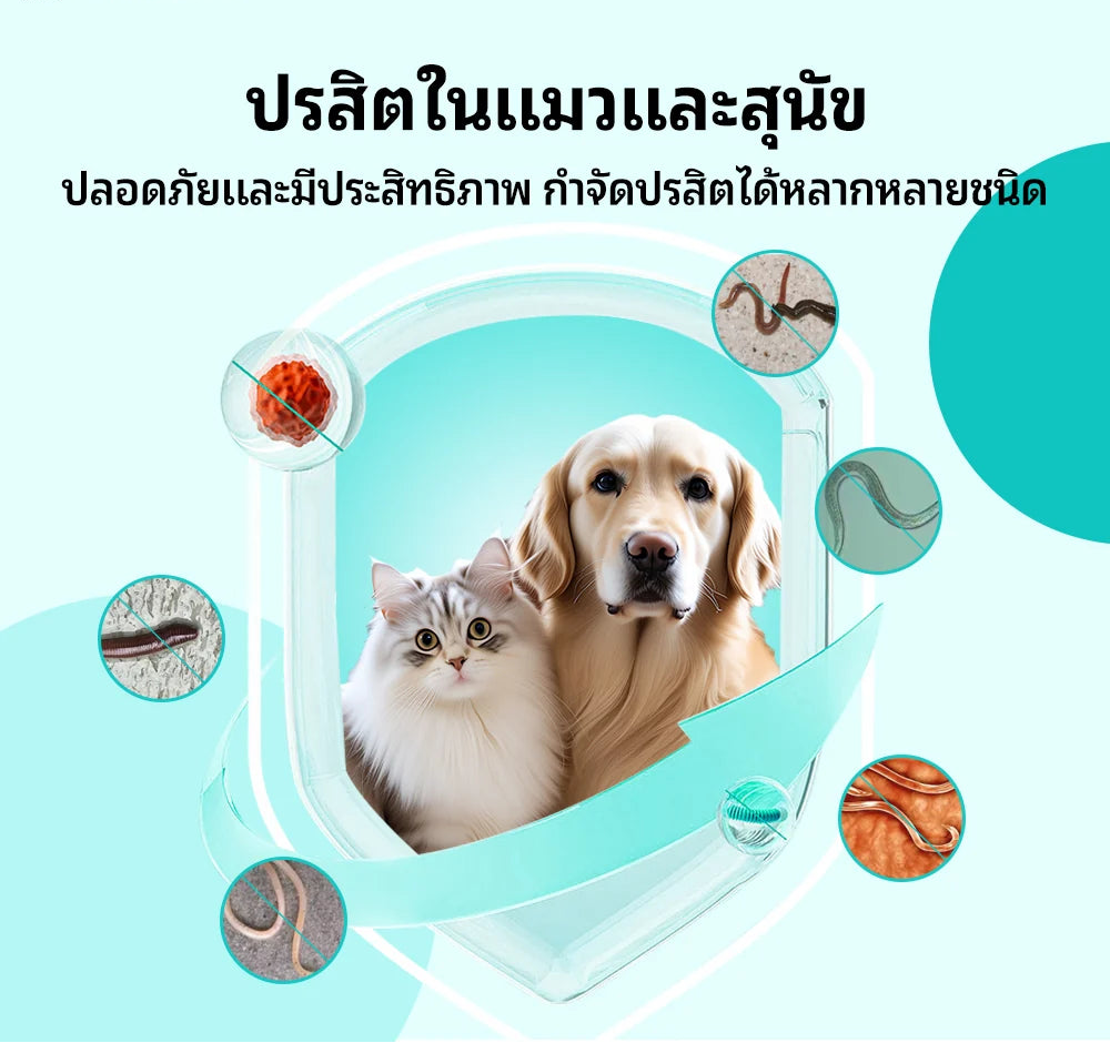 ขนมขจัดพยาธิภายในสำหรับสัตว์เลี้ยง Dopeari สูตรปลอดภัย ขนาดใหญ่พิเศษ 300 กรัม (รุ่นปรับปรุงใหม่)