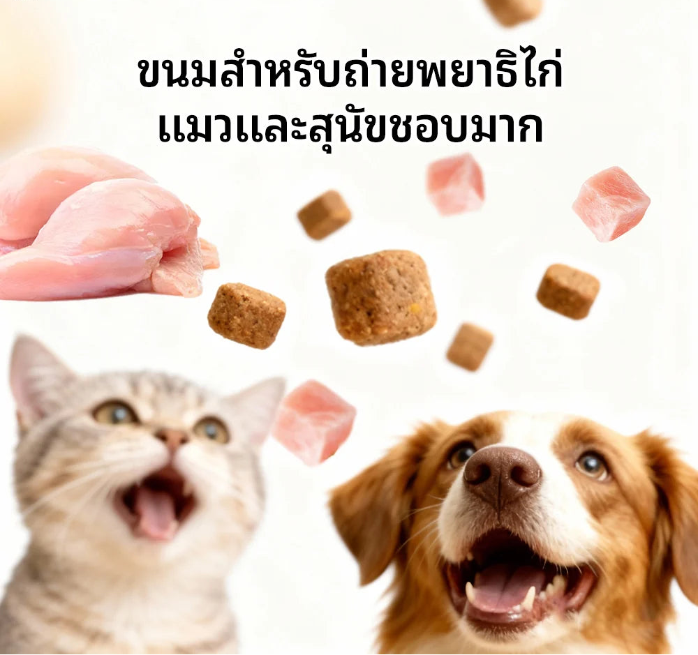ขนมขจัดพยาธิภายในสำหรับสัตว์เลี้ยง Dopeari สูตรปลอดภัย ขนาดใหญ่พิเศษ 300 กรัม (รุ่นปรับปรุงใหม่)