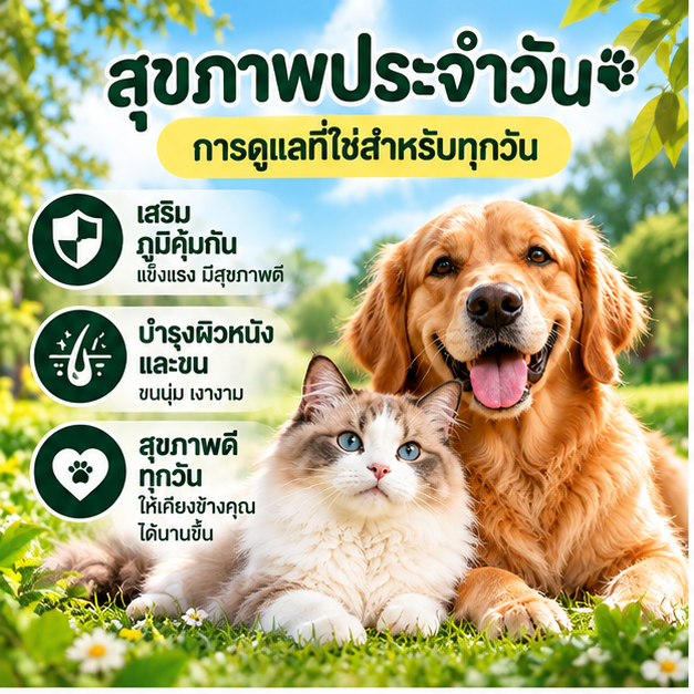 สุขภาพประจำวัน