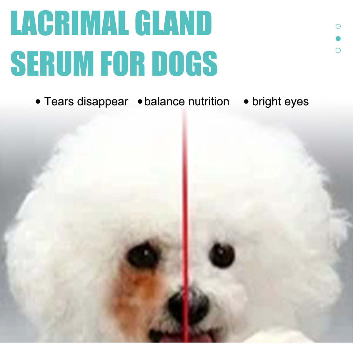 Yegbong Canine and Feline Lacrimal Gland Essence Liquid - Suitable for dogs and cats. Helps reduce infections and inhibit bacterial growth.
