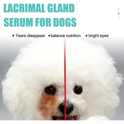 Yegbong Canine and Feline Lacrimal Gland Essence Liquid - Suitable for dogs and cats. Helps reduce infections and inhibit bacterial growth.