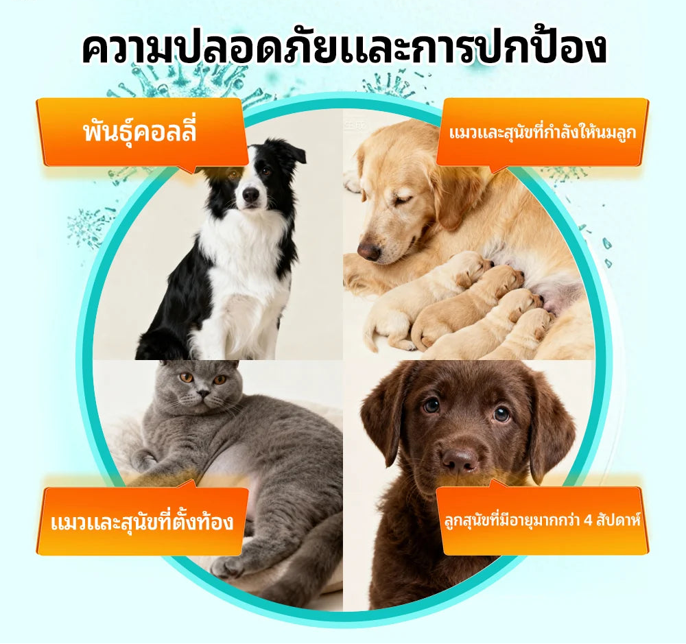 ขนมขจัดพยาธิภายในสำหรับสัตว์เลี้ยง Dopeari สูตรปลอดภัย ขนาดใหญ่พิเศษ 300 กรัม (รุ่นปรับปรุงใหม่)