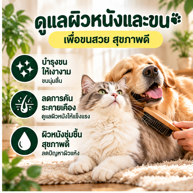 ดูแลผิวหนังและขน