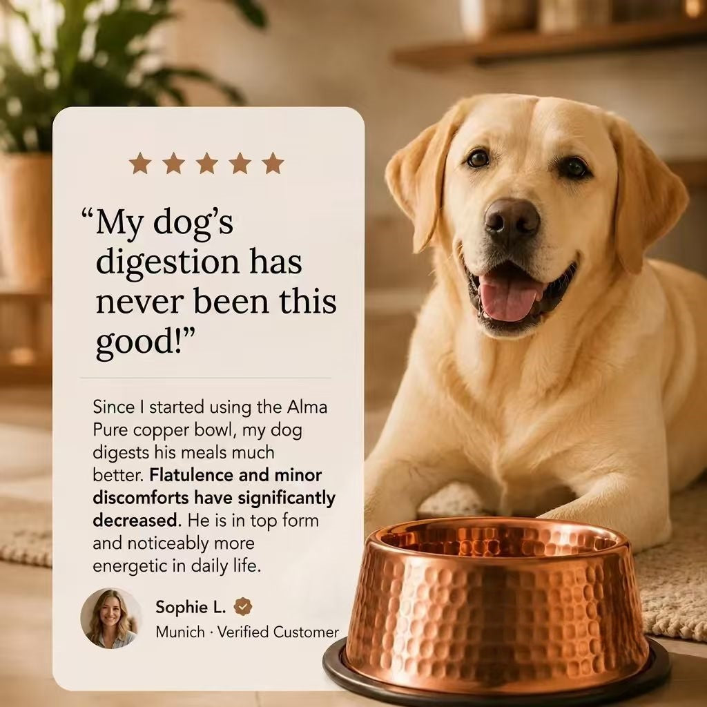 99.9% Pure Copper Bowl for Dogs & Cats