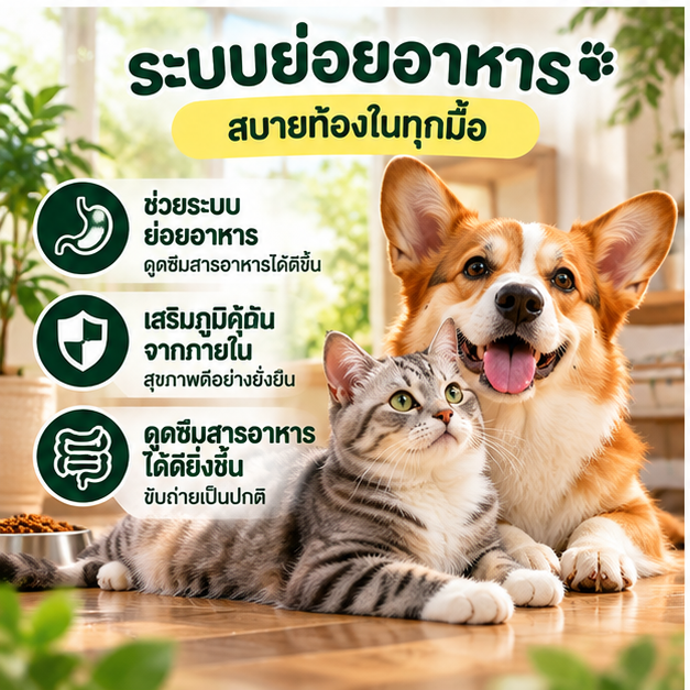 ระบบย่อยอาหาร