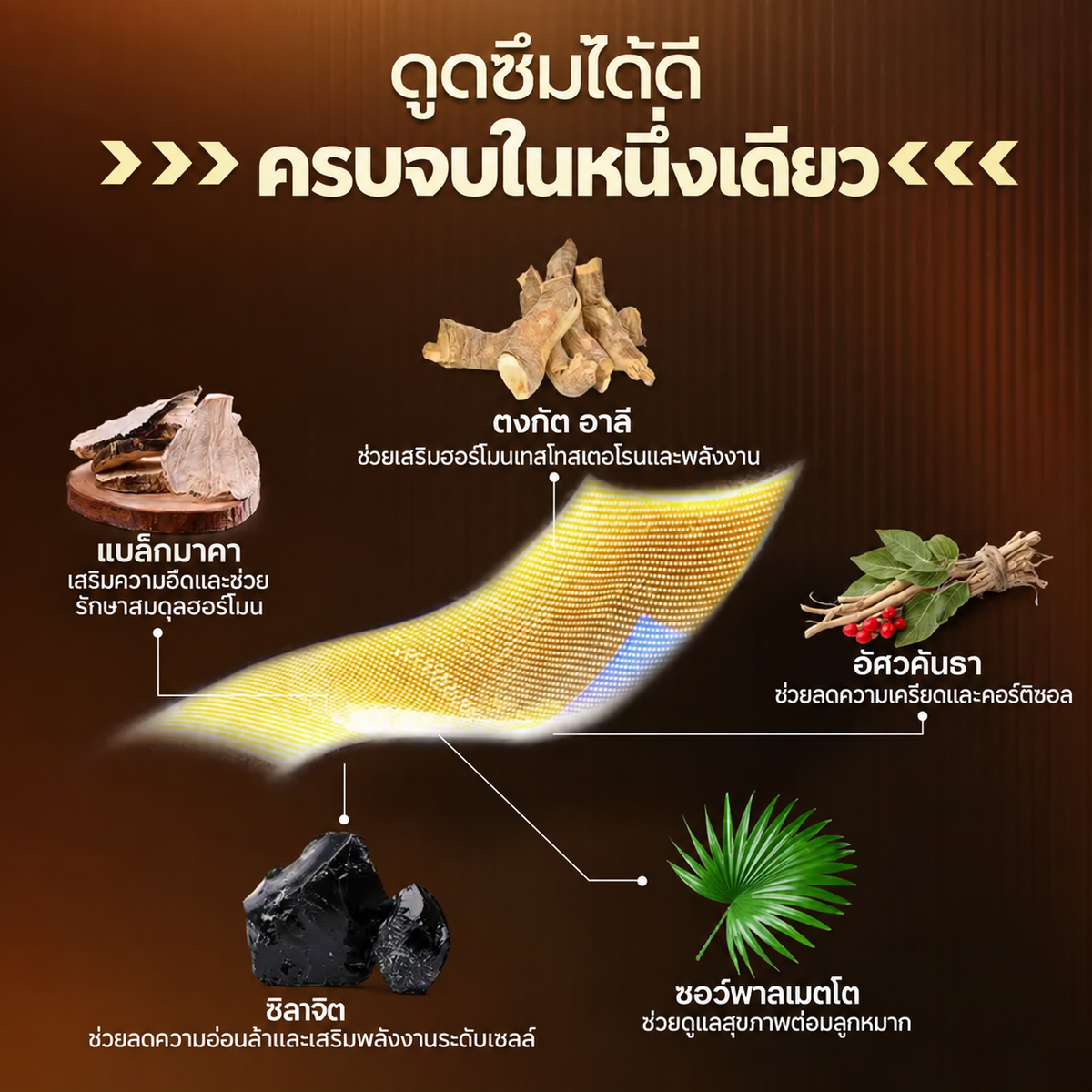 แผ่นละลายในช่องปากสำหรับผู้ชาย   สูตรพรีเมียม 21-in-1 • 5,620 มก. • ใช้ง่าย ไม่ต้องใช้น้ำ